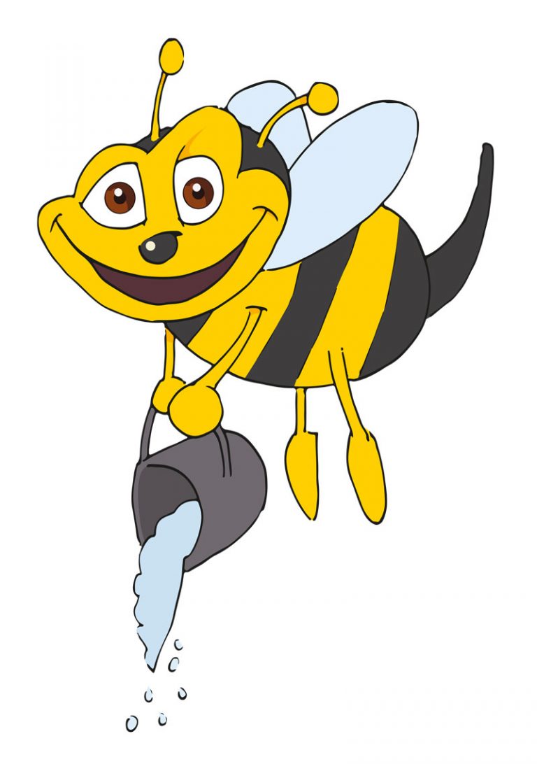 Etapa19 (1)