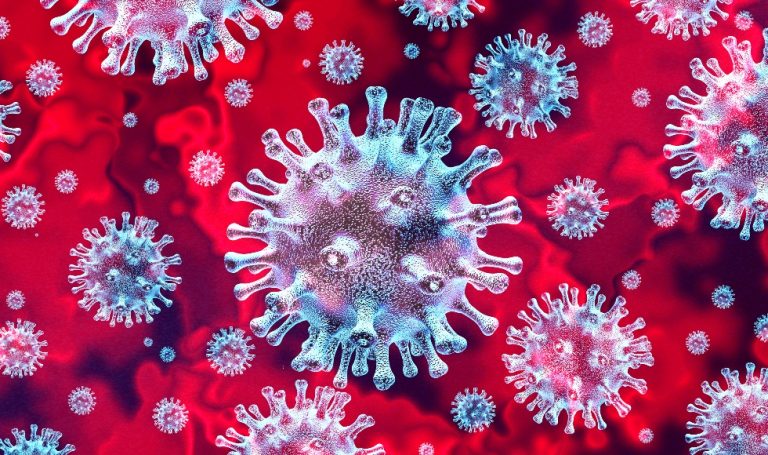 coronavirus-photo-1-3