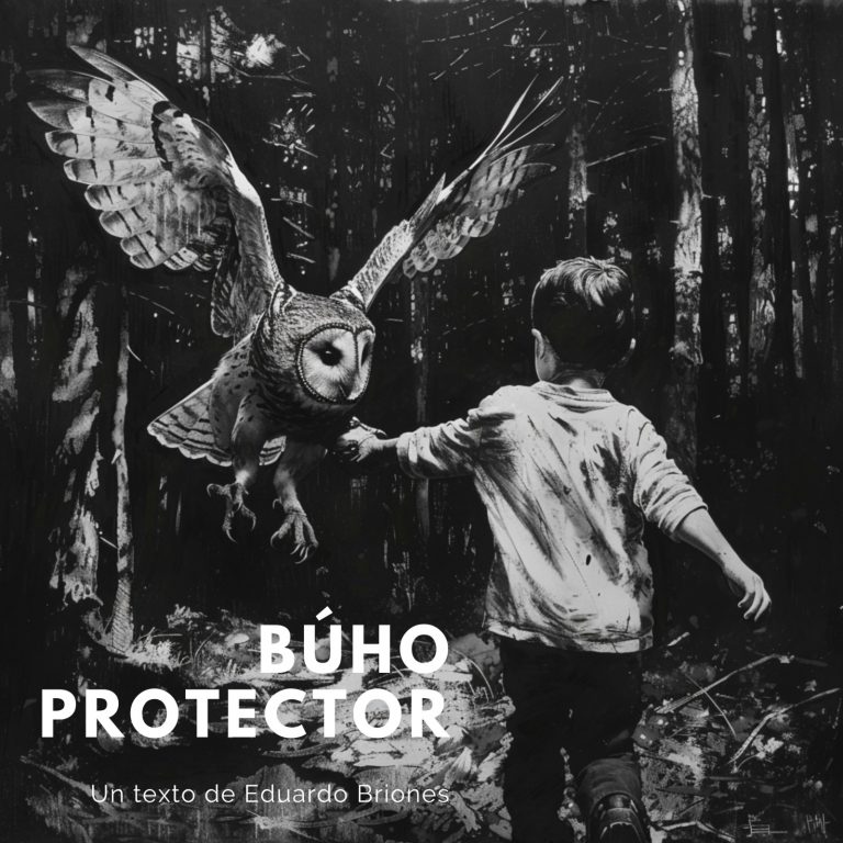 WhatsApp Image 2024-05-06 at 13.58.12